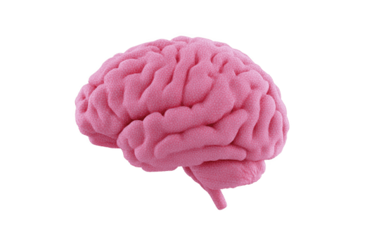 The mind behind Homericly — 16 years of web development distilled into one platform